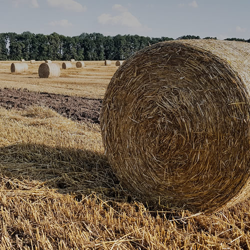 Pasture Care - Forage Supplies